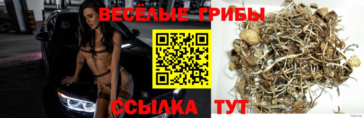 Псилоцибиновые грибы MAGIC MUSHROOMS  наркошоп  Лысьва  Вход с VPN  Псилоцибиновые грибы прущие грибы 