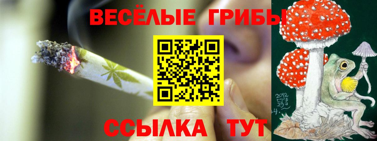 Галлюциногенные грибы ЛСД Лысьва